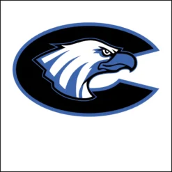 CMS Magnet