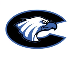 CMS Decal